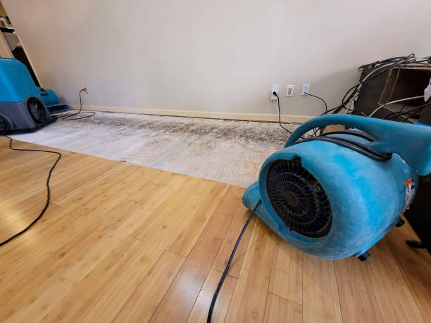 Professional Burst Pipe Water Damage technician working in California City, CA